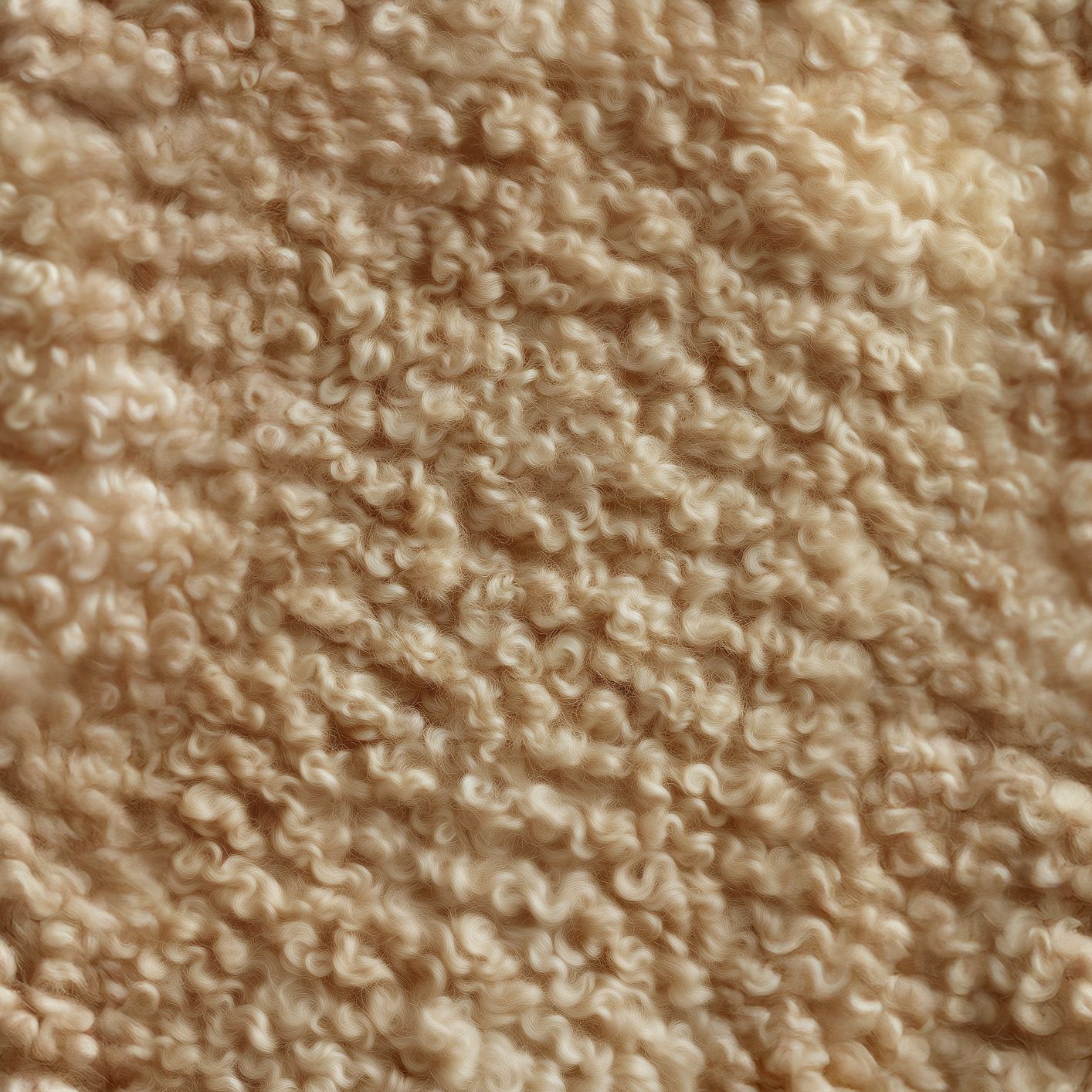 Texture Curled_002 couleur #A08362