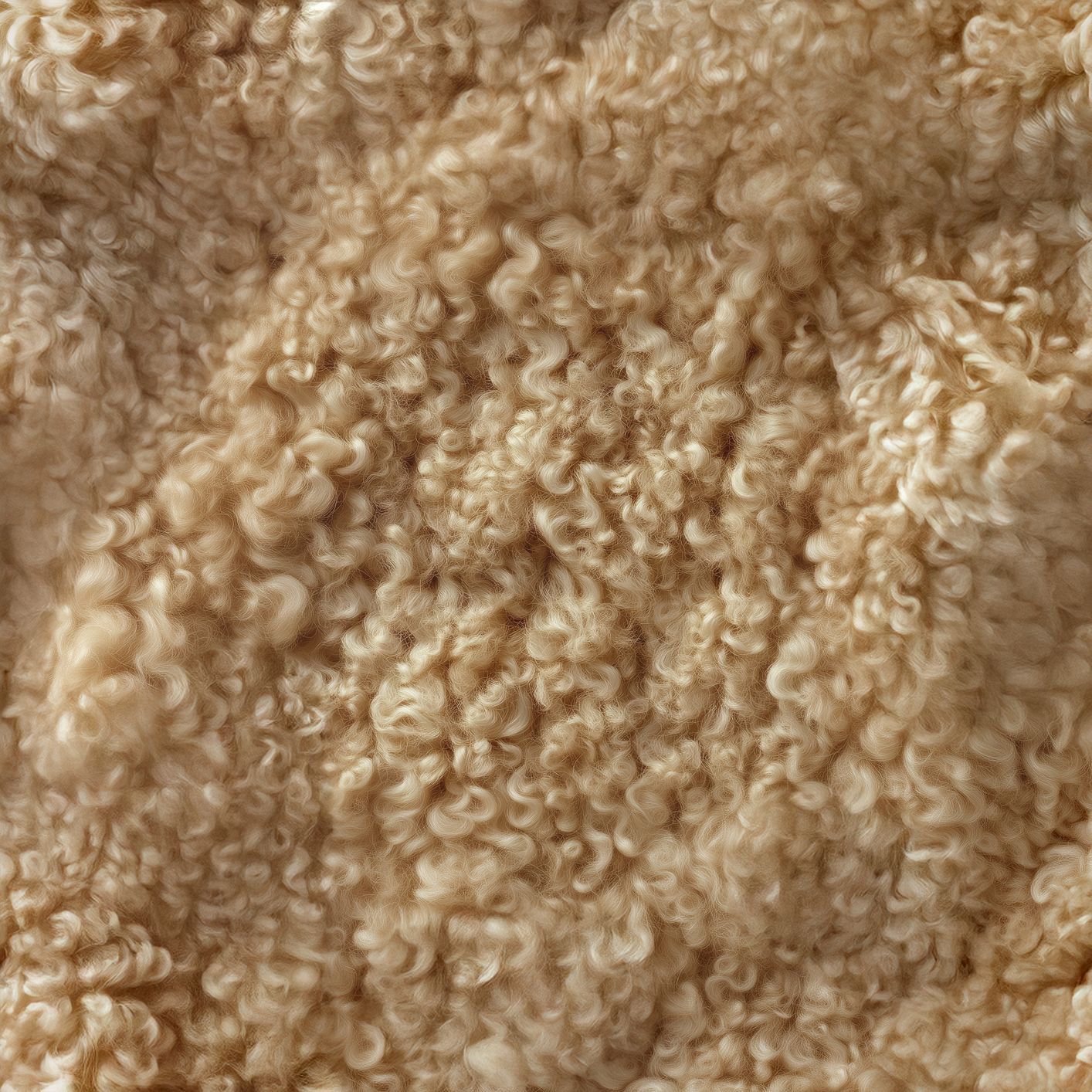 Texture Curled_003 couleur #9D7E5C