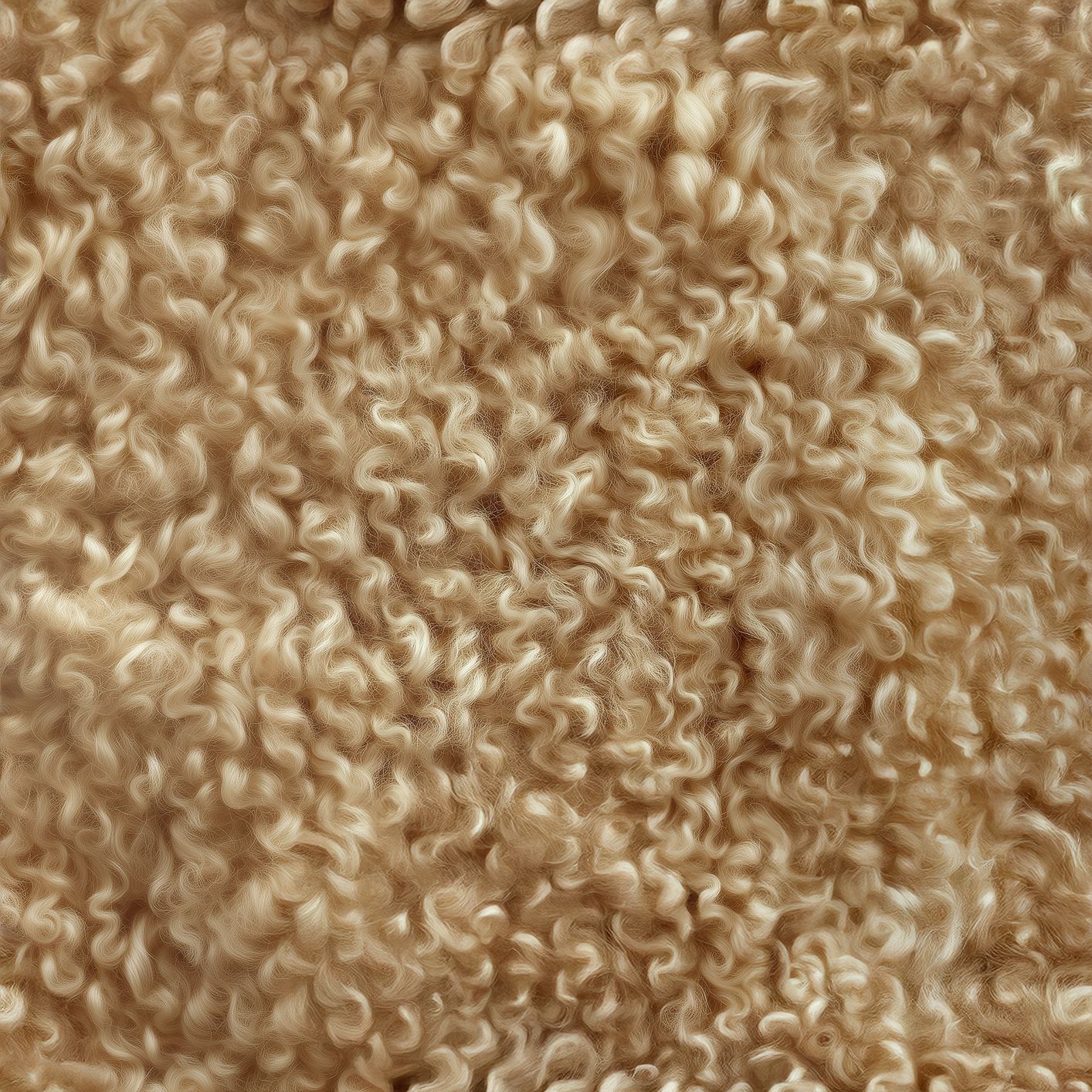 Texture Curled_004 couleur #A0825C