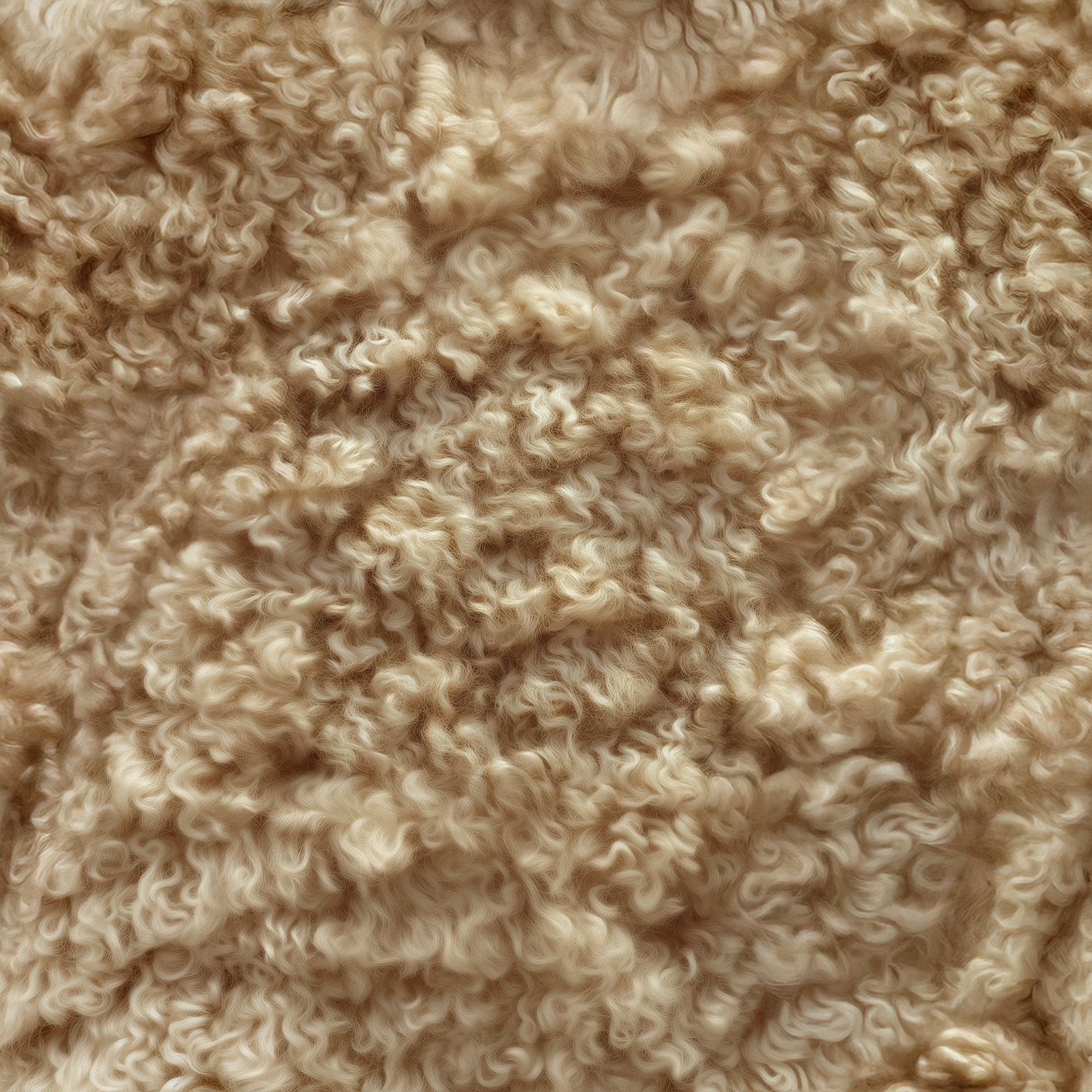 Texture Curled_008 couleur #9B8161