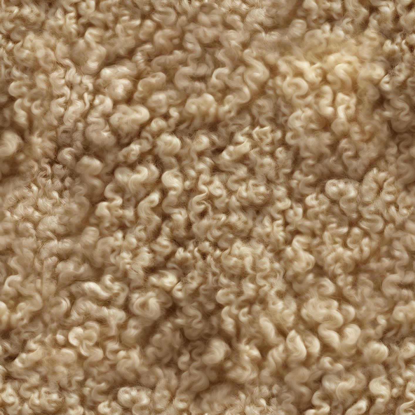 Texture Curled_009 couleur #9D815E