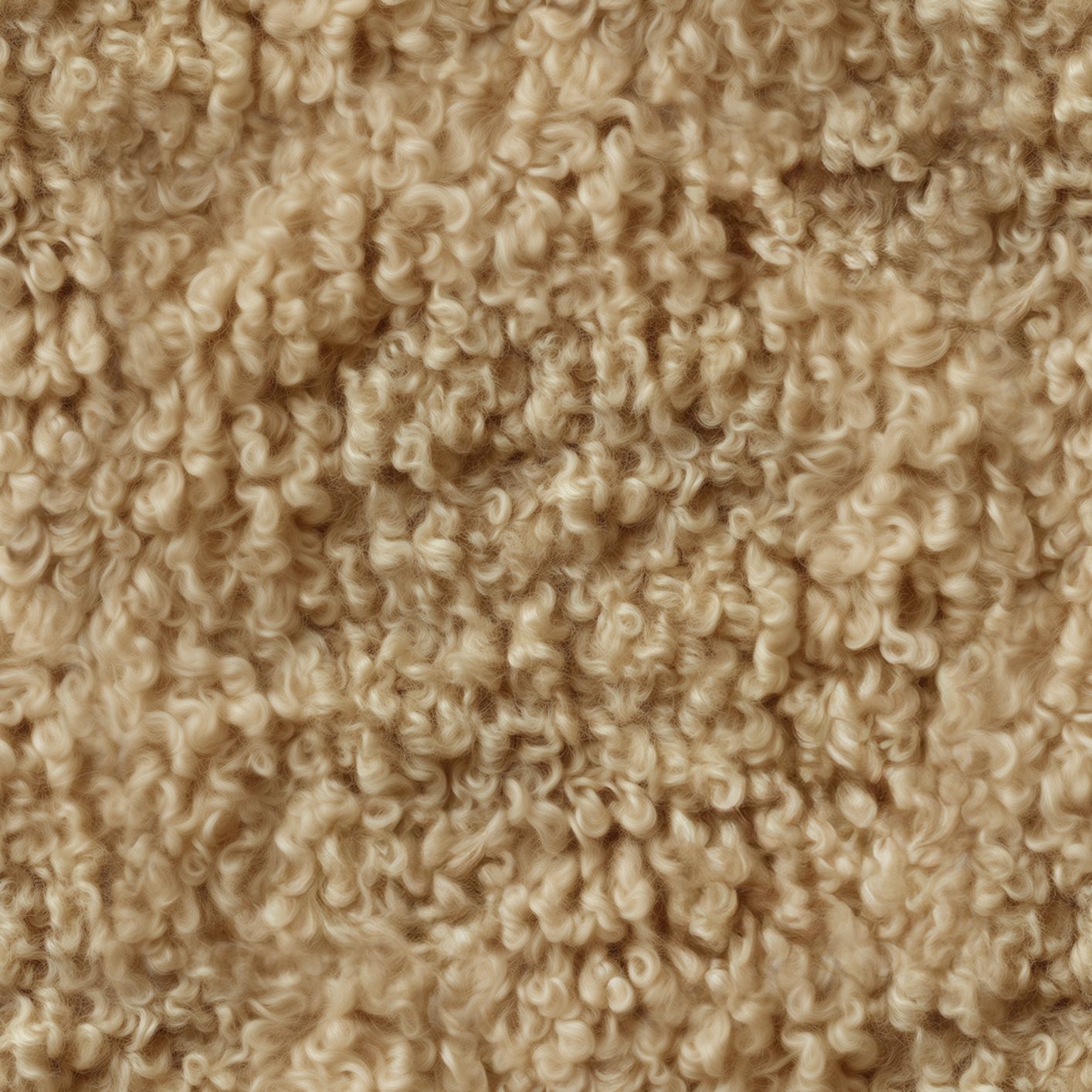 Texture Curled_011 couleur #A18560