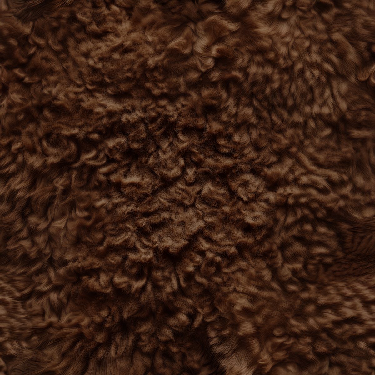 Laine de mouton chocolat, profondeur dense